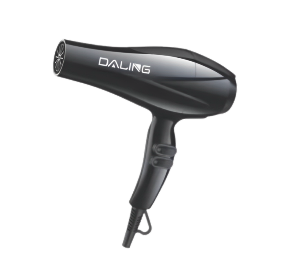 Electric Hair Dryer