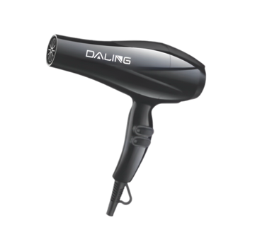 Electric Hair Dryer